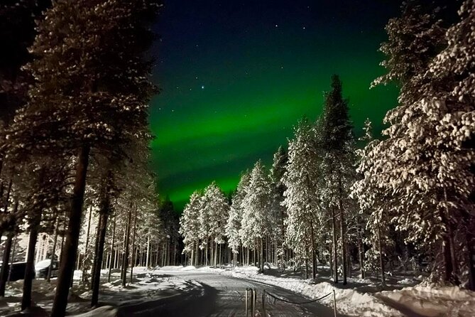 1 Day Pass Lapland Winter Park in Rovaniemi - Ice skating, skiing, and snowshoeing