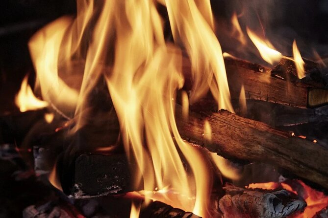 1 Day Pass Lapland Winter Park in Rovaniemi - Food, fire huts, and staying warm
