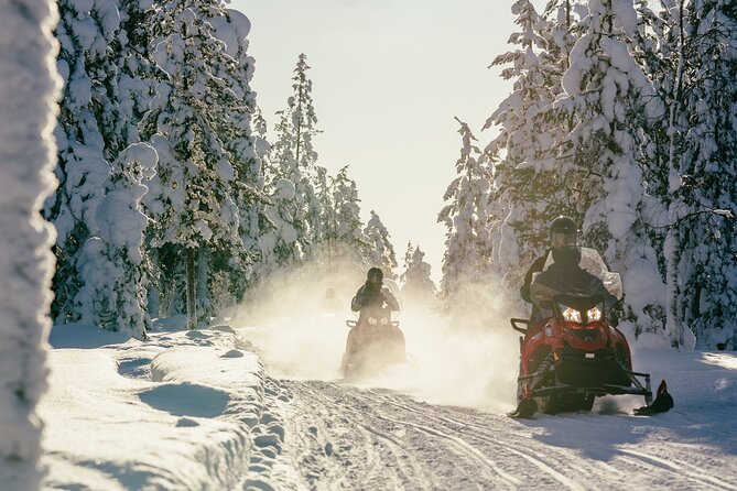 1 Hour Easy Snowmobile Safari in Levi - Warm clothing helps, but winter conditions still matter