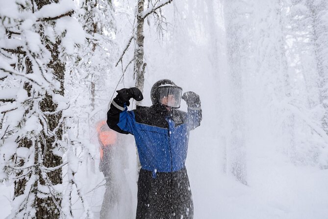 1 Hour Easy Snowmobile Safari in Levi - English guidance and a small group