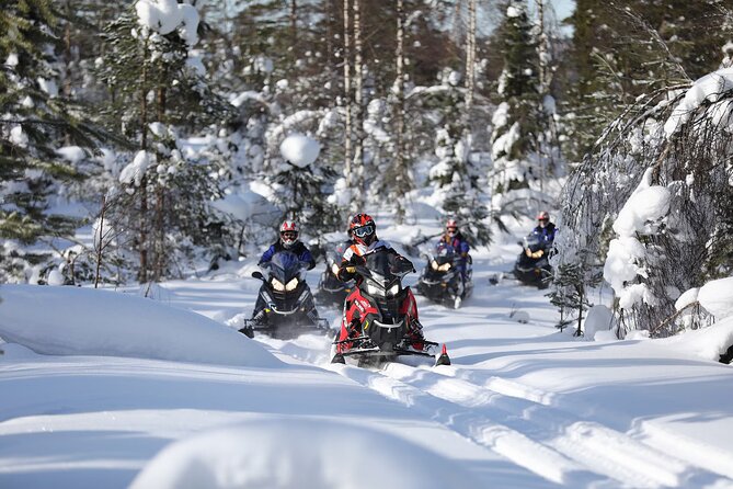 1-Hour Snowmobile Safari Adventure in Rovaniemi - One hour through the snowy Finnish wilderness