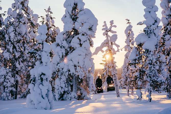 1-Hour Snowmobile Safari Experience - Starting at Arctic Circle Snowmobile Park