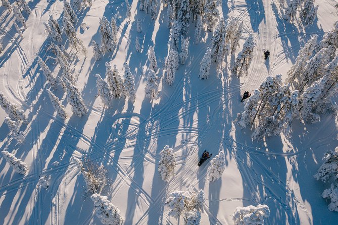 1-Hour Snowmobile Safari Experience - One hour through Lapland’s snowy forest