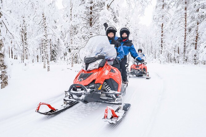 2 Hours Snowmobile Safari to the Levi Nature - Key points at a glance