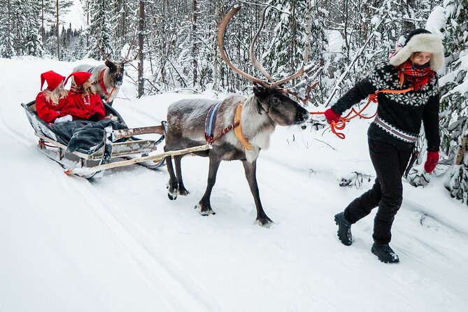 2km Sleigh Ride & Feeding Experience at Traditional Reindeer Farm - Meeting the reindeer and hearing from the herder