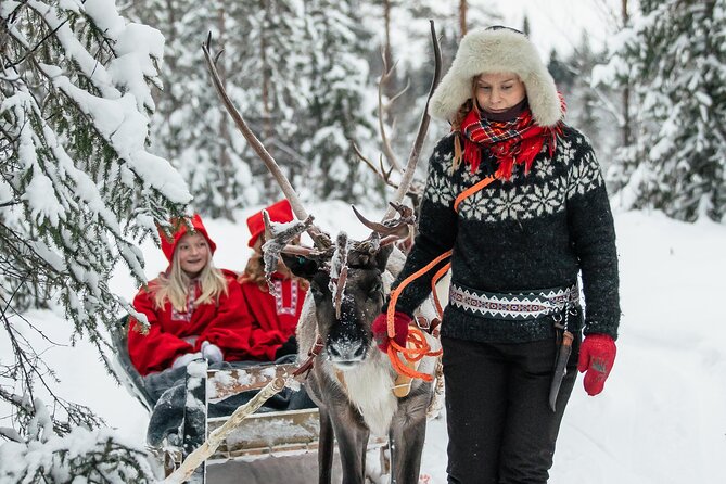 2km Sleigh Ride & Feeding Experience at Traditional Reindeer Farm - Is $116 a fair price?