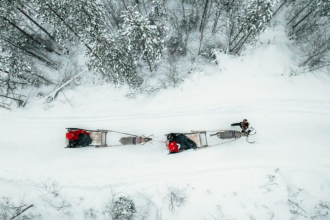 2km Sleigh Ride & Feeding Experience at Traditional Reindeer Farm - From Rovaniemi pickup to the farm