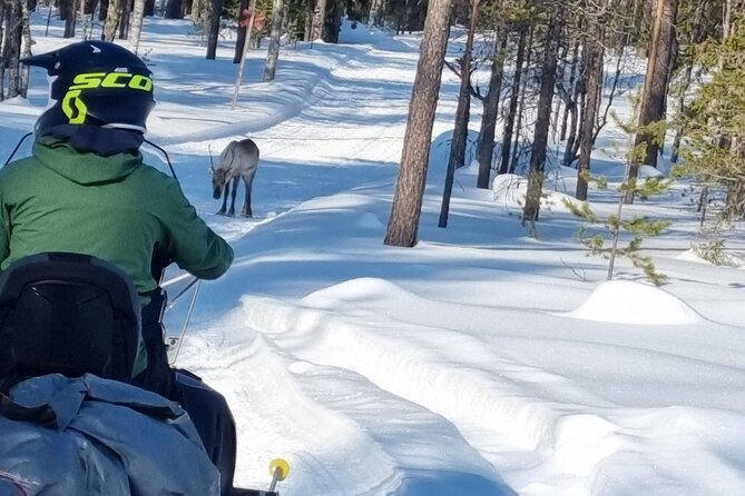 3 Days Raid Snowmobile in Finnish Lapland - Details worth sorting out before departure