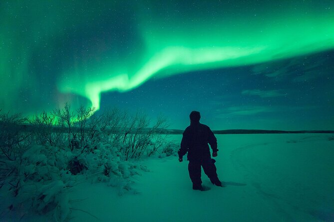 3-h Northern Light Safari by Snowmobiles From Levi - What the strongest experiences get right