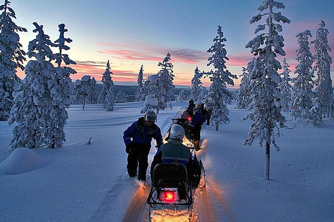 3-h Northern Light Safari by Snowmobiles From Levi - Who should book this Levi safari?