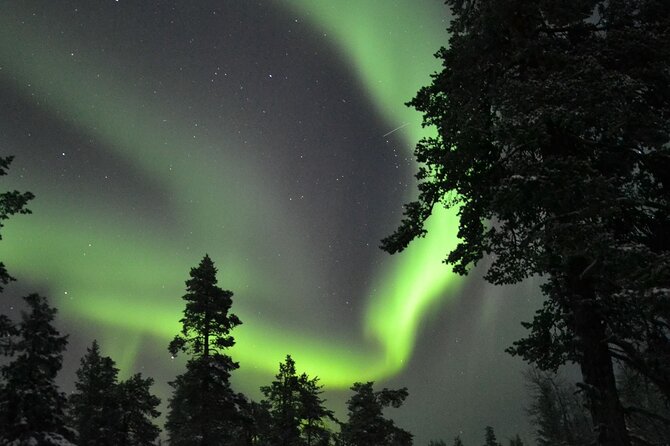 3-Hour Snowmobile Safari to Search Northern Lights in Levi - The open fire is more than a snack stop