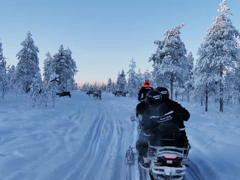 3-hour snowmobiling adventure in Levi - A Possible Café or Reindeer Farm Stop