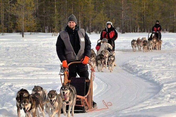 5KM Husky Sled Ride from Levi - Is $234.98 a fair price?