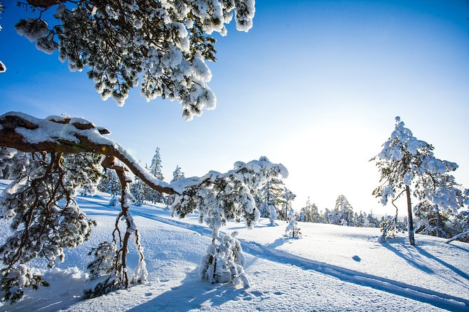 All Day Snowmobile Driving - A break for Finnish lunch and ice fishing