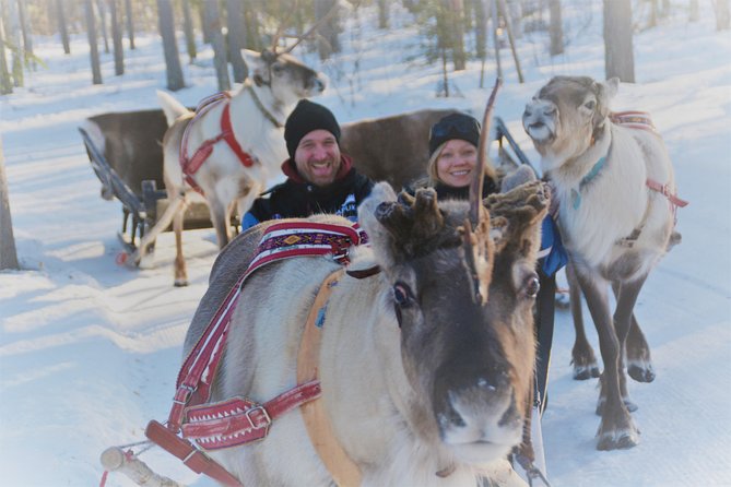 Apukka Reindeer Journey - A gentle ride into Finnish Lapland