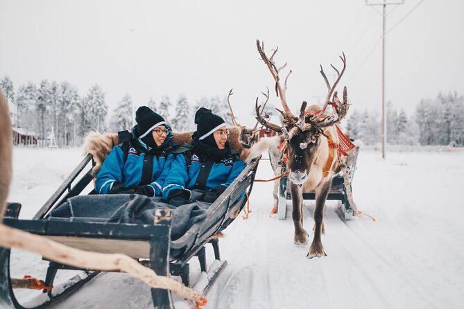 Apukka Reindeer Journey - Who will enjoy this experience most?