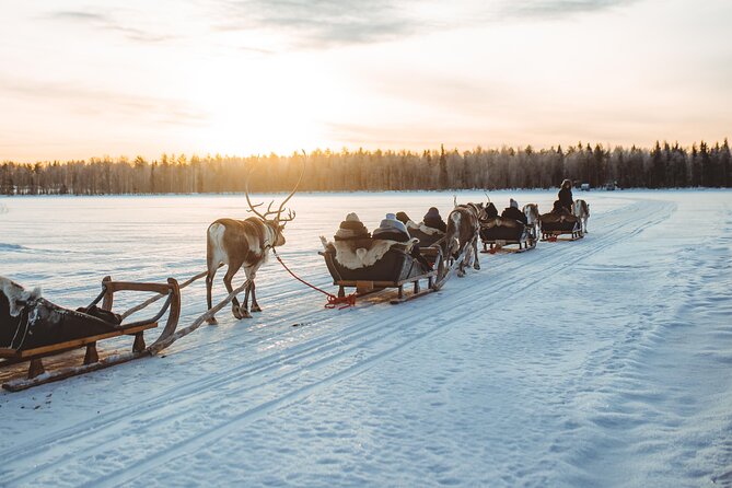 Apukka Reindeer Journey - From Rovaniemi to Apukka Resort