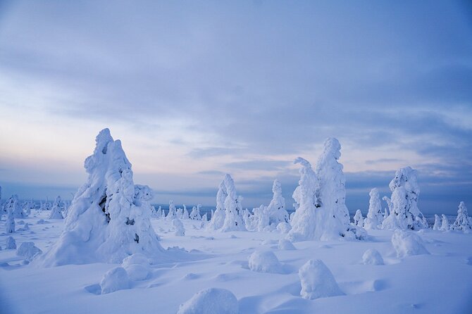 Arctic Adventure through Magical Frozen Forests of Riisitunturi - Key points for planning your Riisitunturi day