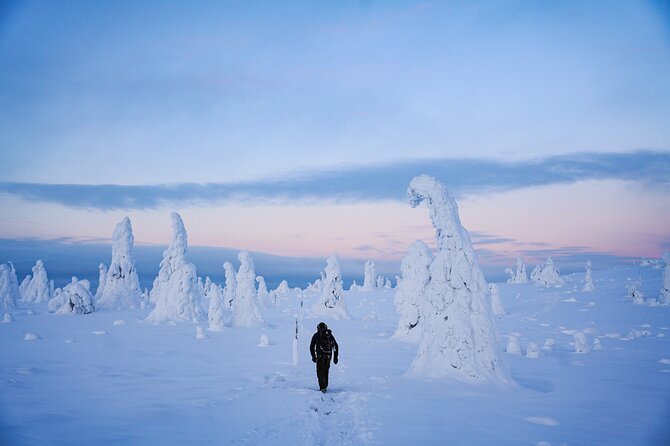 Arctic Adventure through Magical Frozen Forests of Riisitunturi - Why Riisitunturi’s trees are worth the long drive