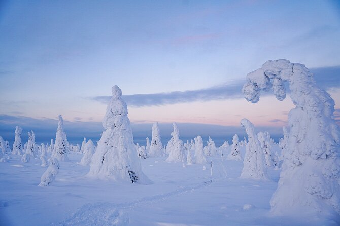 Arctic Adventure through Magical Frozen Forests of Riisitunturi - Warming up beside a Finnish campfire