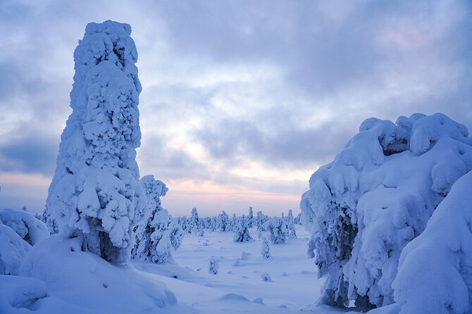 Arctic Adventure through Magical Frozen Forests of Riisitunturi - Who will enjoy this national park day