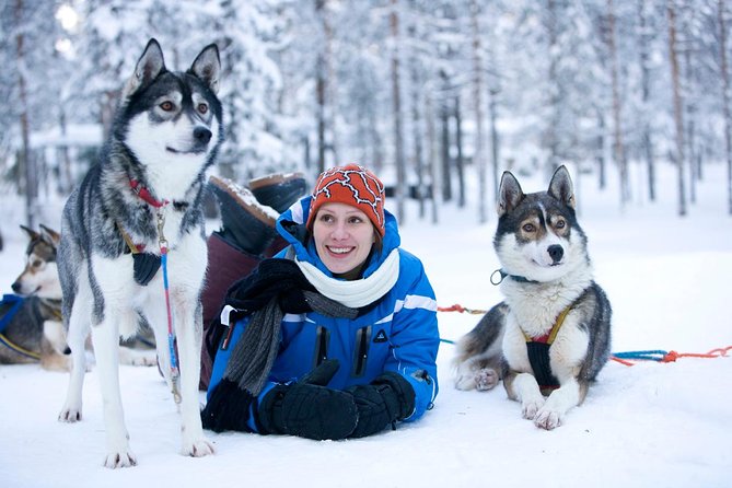 Arctic Circle Family Day - Snowmobiling with twin riders