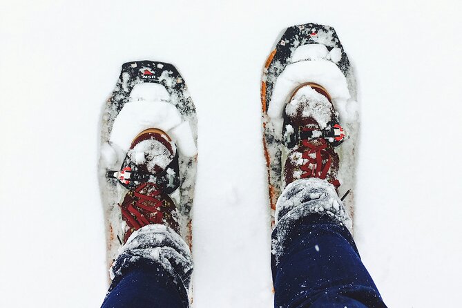 Arctic Darkness & Starlight Adventure with Snowshoes - Why the Arctic dark is the main attraction