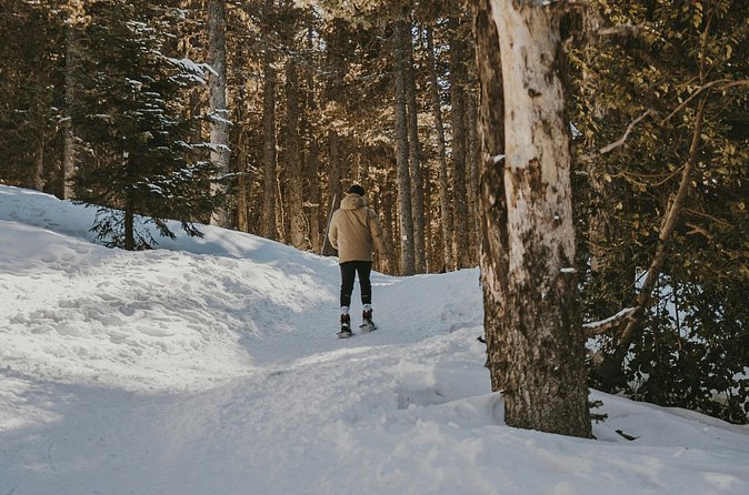 Arctic Darkness & Starlight Adventure with Snowshoes - What to wear for two hours in the cold