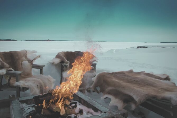 Arctic Darkness & Starlight Adventure with Snowshoes - Who will enjoy this Sodankylä evening?