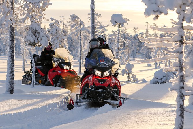 Arctic Delight - Visit to Santa's Village and snowmobiling to reindeer farm - Guides, group size, and the day’s rhythm