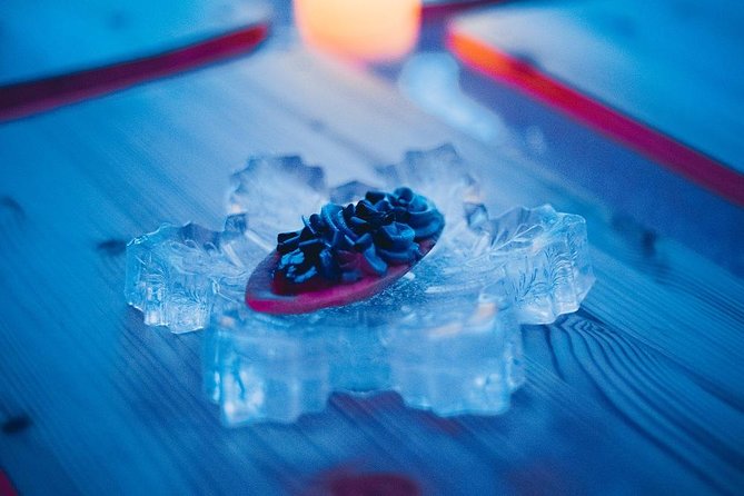 Arctic Snow Castle Visit with Lappish Dinner - Small Group Tour - Is $279.35 a fair price?