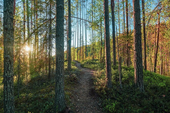 Arctic Wilderness Hike with Fire-making - Who should book this Arctic experience?
