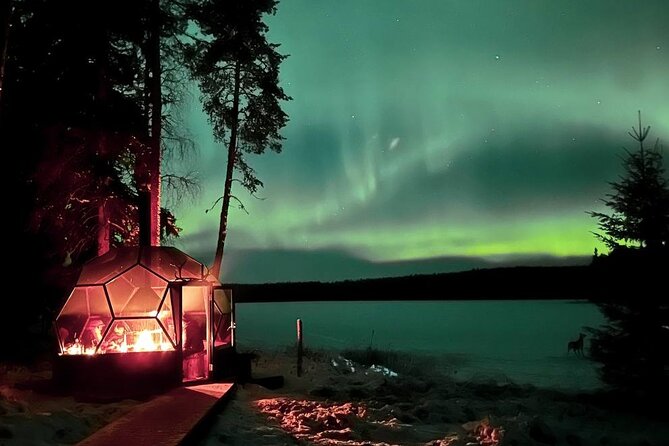 Aurora Borealis Dinner in a Glass Igloo - Why the private format matters