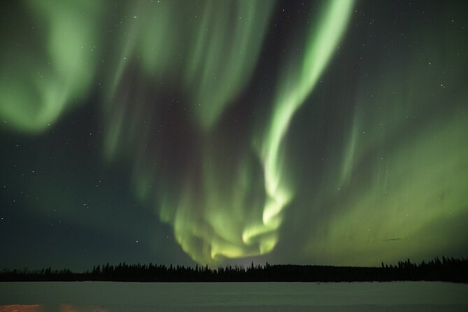 Aurora Borealis Picnic in Rovaniemi - A casual Lappish picnic by the fire