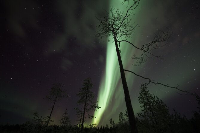 Aurora Borealis Picnic in Rovaniemi - Guides, stories, and the human side of the outing