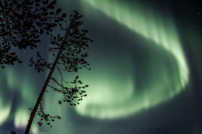 Aurora Borealis Picnic in Rovaniemi - Timing, pickup, and cancellation details