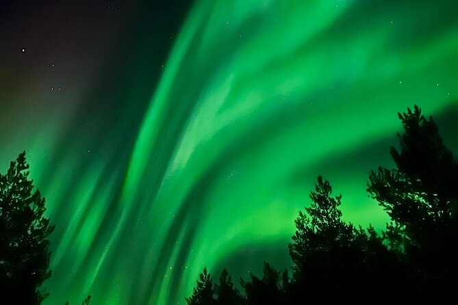 Aurora Hunt with BBQ in Rovaniemi - How the aurora search works