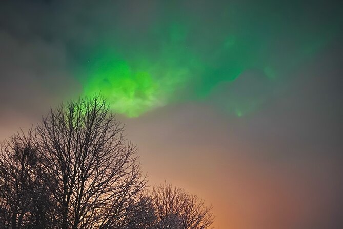 Aurora Hunt with BBQ in Rovaniemi - Sámi stories by the fire
