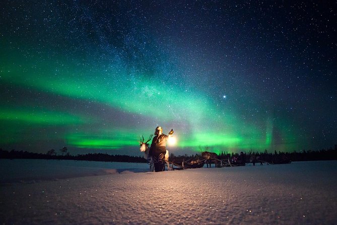 Aurora Hunting by Reindeer Sleigh - Two Lapland traditions in one dark evening