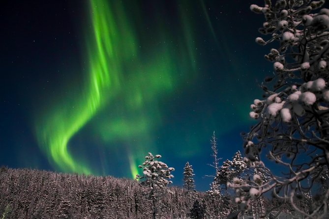 Aurora Ice Floating in Rovaniemi - How the guides shape the experience