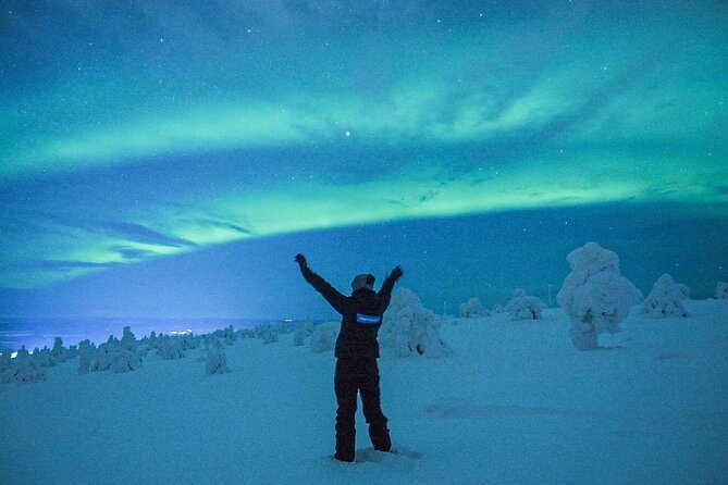 Aurora Photography Tour 3 HOURS - Hot berry juice matters at minus 26 degrees