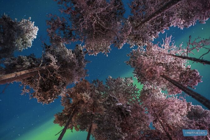 Aurora Photography Tour 3 HOURS - Booking, pickup, and timing details