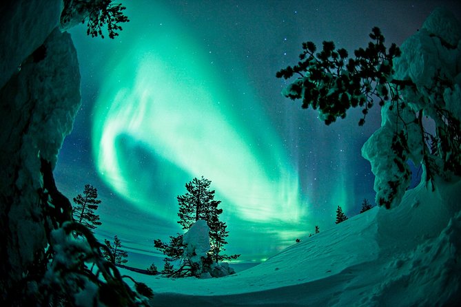Auroras in Saariselkä – Northern Lights Photo Tour by Car and on Foot - Walking into the woods and waiting by the fire