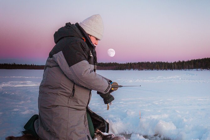 Authentic Reindeer Experience and Ice Fish with Lunch in the Wild - From Levi to Lompolo in 40 minutes