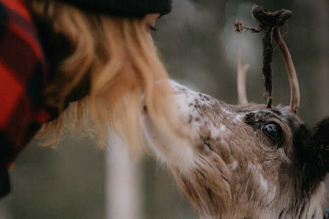 Authentic Reindeer Experience and Ice Fish with Lunch in the Wild - Warming up at Soma Hideout