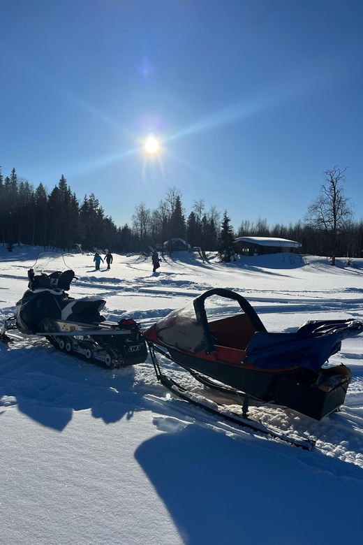 Authentic Reindeer Experience, Ice Fish & Lunch in the Wild - Meeting the reindeer on a private family farm