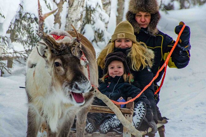 Authentic Reindeer Farm Experience in Rovaniemi - Who will enjoy this farm visit most