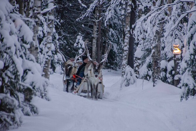 Authentic Reindeer Farm Experience in Rovaniemi - Booking, weather, and cancellation details