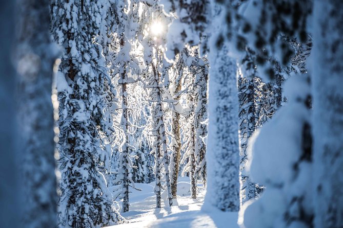 Backcountry skiing adventure - Group size, age, and physical demands