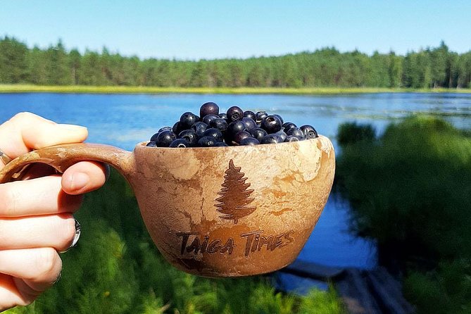 Berry Picking in a National Park - What berry picking is really like